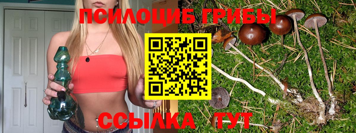 где можно купить наркотик  Вход с VPN  Печора  Псилоцибиновые грибы мицелий 